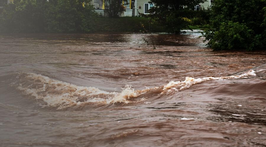 Why choose water damage restoration service for commercial flood cleanup in Newarks